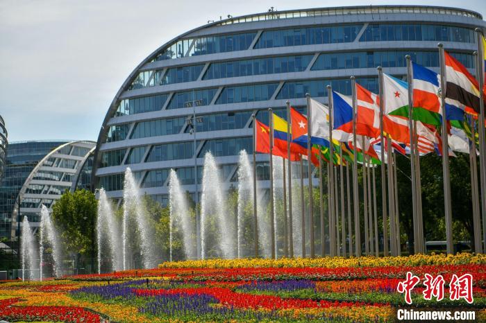 第五屆進(jìn)博會(huì)場(chǎng)館景觀裝飾全面定妝。　陳夢(mèng)澤 攝