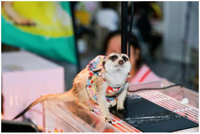 1718597537929791.jpg 56.jpg